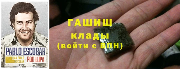 СК Ельня