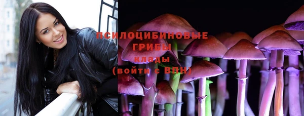 альфа пвп Заволжье