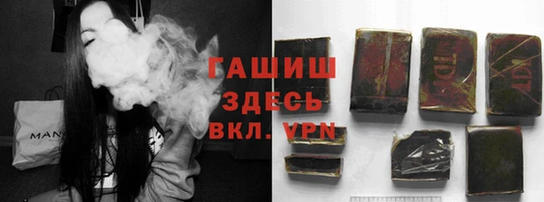 СК Ельня