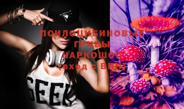 СК Ельня