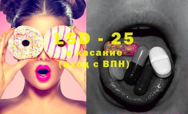 СК Ельня