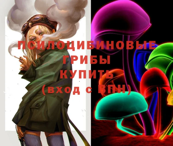 СК Ельня