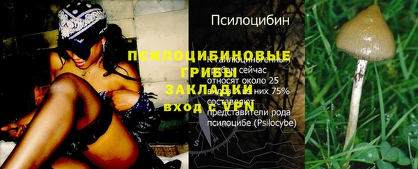 альфа пвп Заволжье