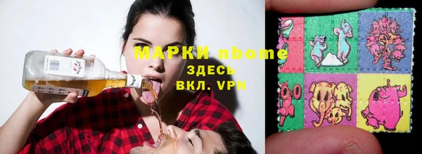 СК Ельня