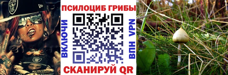 Купить где  Пыталово  Галлюциногенные грибы мухоморы 